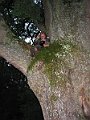 foto 077